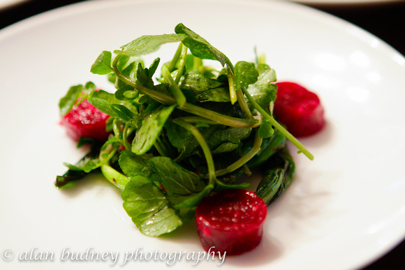 ysc alsatian-19 salad of grilled ramps, watercress and horseradish marinated beets